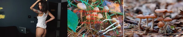 круглые Горнозаводск