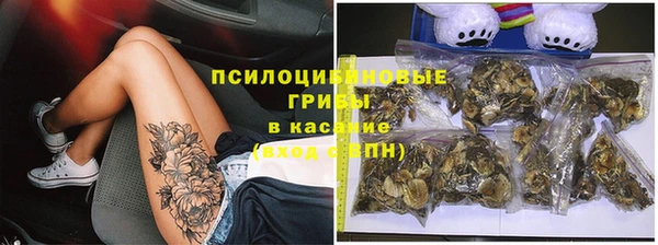 прущий лед Горняк