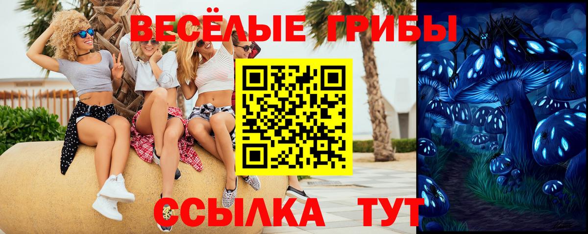 Пермь  Псилоцибиновые грибы прущие грибы  Вход с VPN 